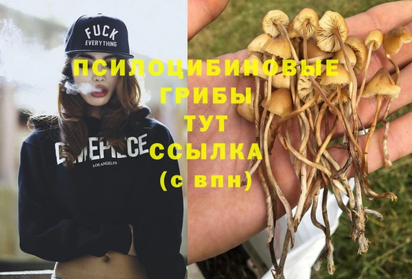 MDMA Абинск