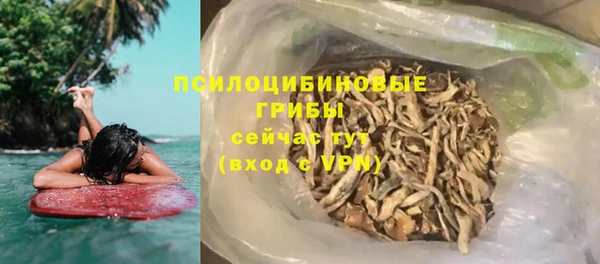 ГАЛЛЮЦИНОГЕННЫЕ ГРИБЫ Михайловск